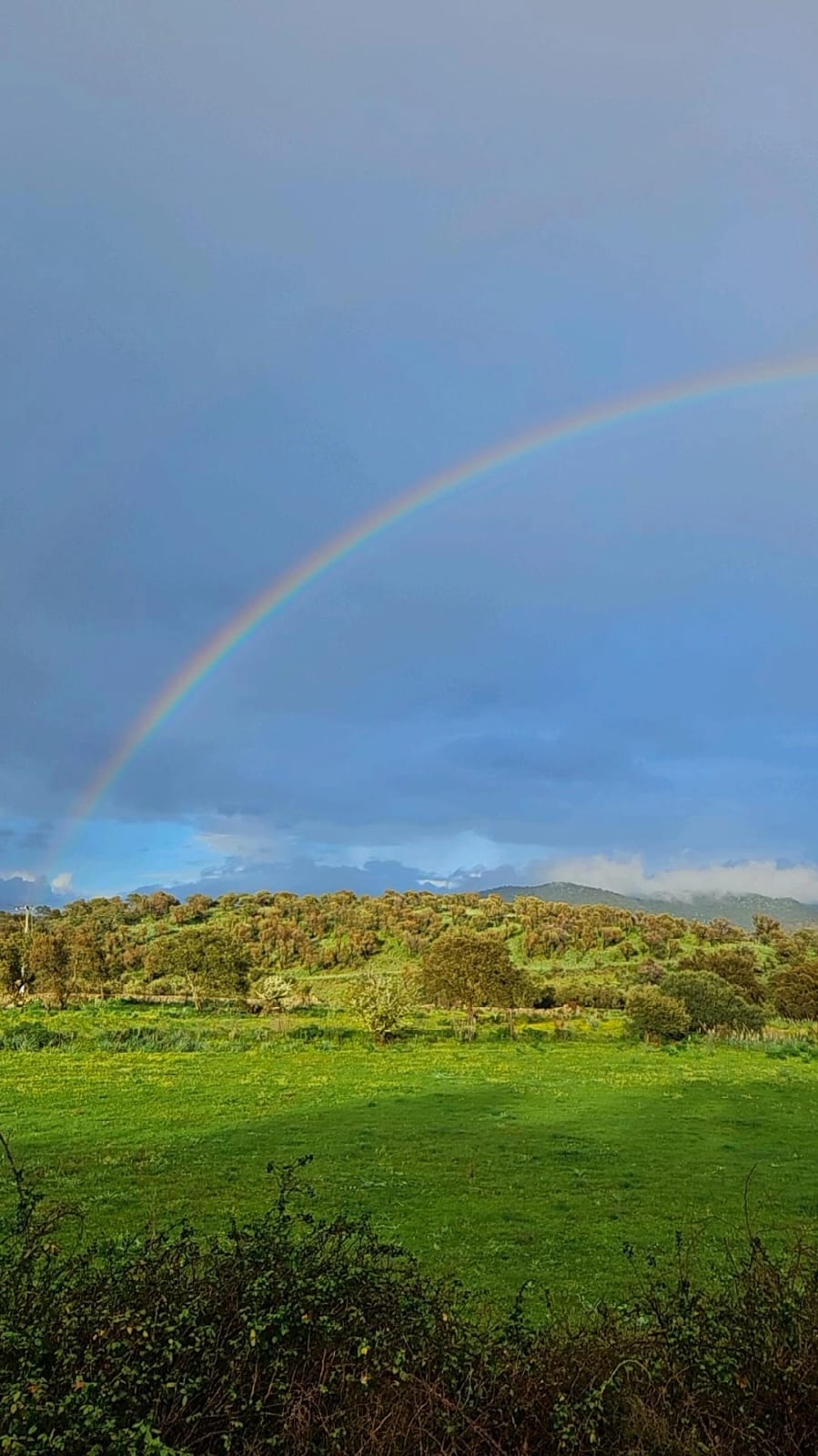 Arcobaleno al bivio